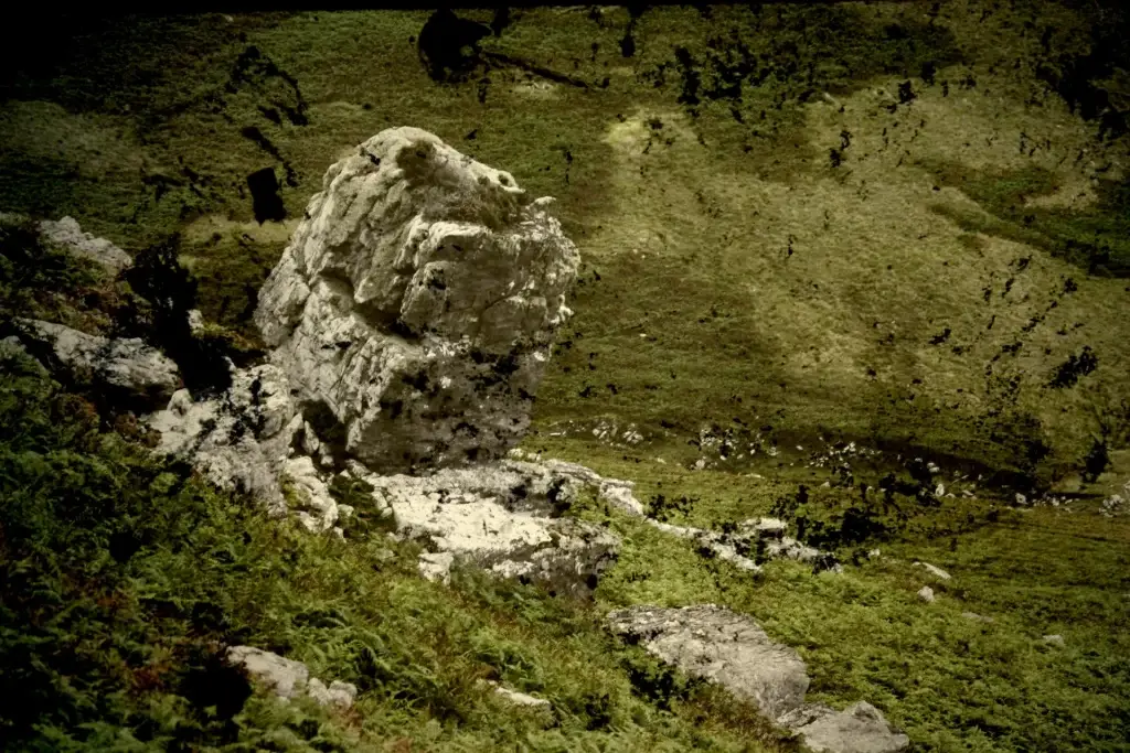Heller Felsblock in grüner, dunkel gefleckter Landschaft